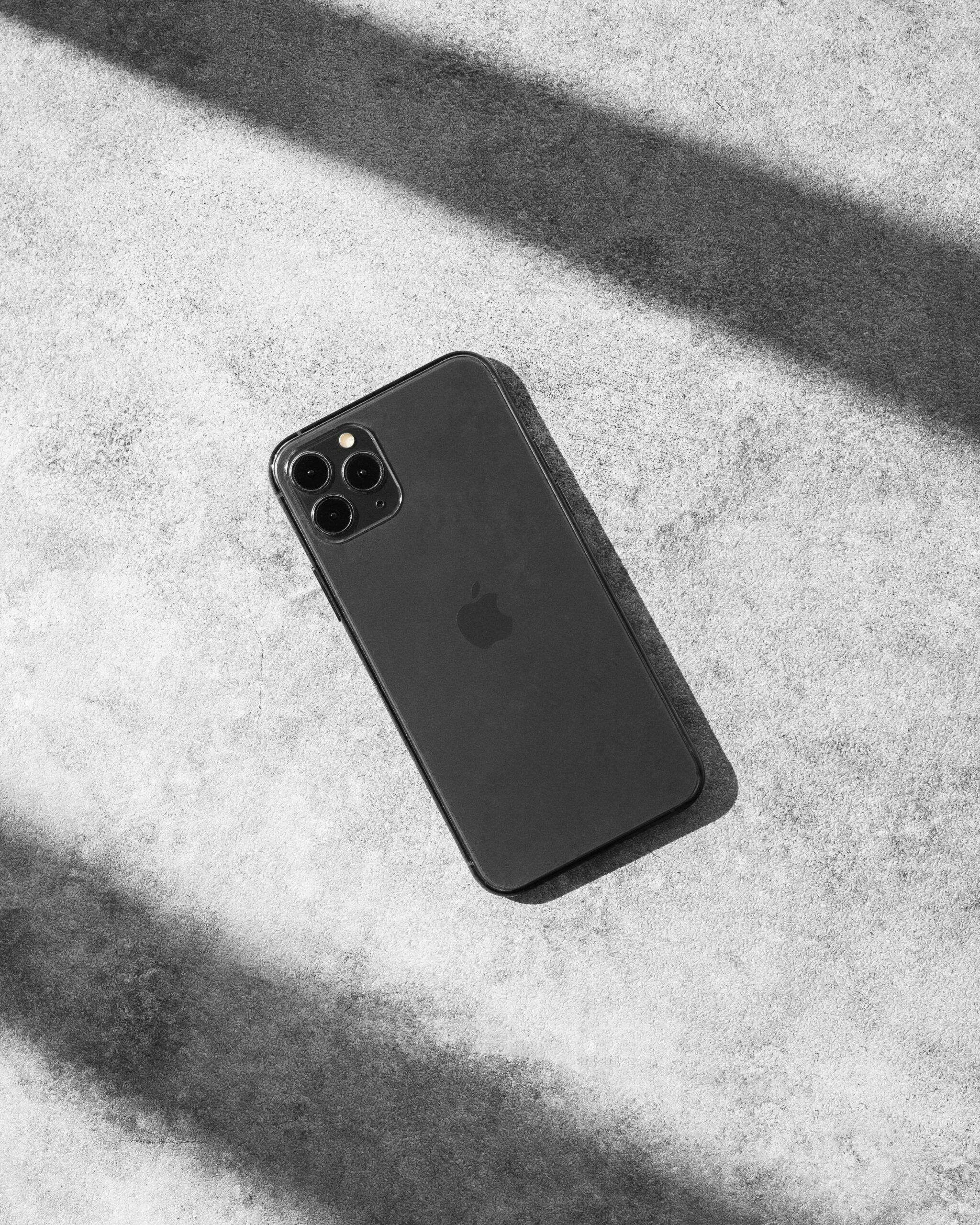 pexels regeci 16891501